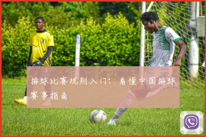 排球比赛规则入门:看懂中国排球赛事指南
