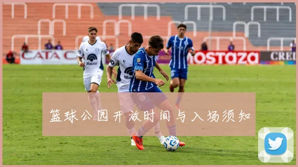 篮球公园开放时间与入场须知