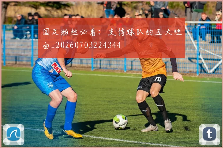 国足粉丝必看：支持球队的五大理由_20260703224344