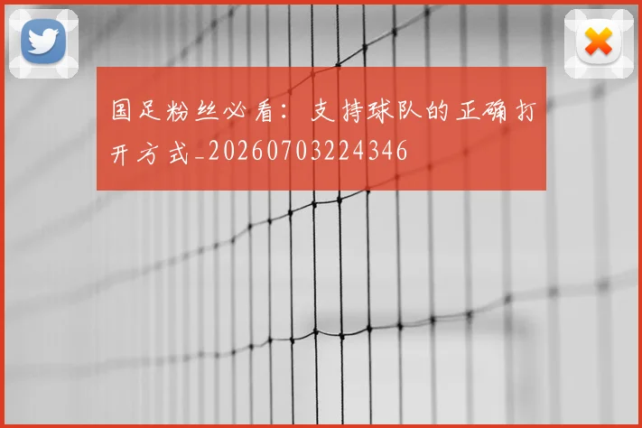 国足粉丝必看:支持球队的正确打开方式_20260703224346